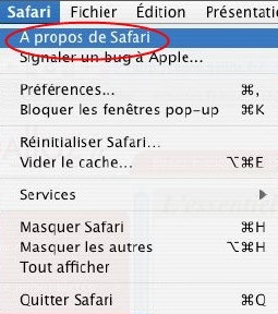 Safari
