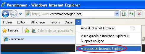 Internet Explorer 8